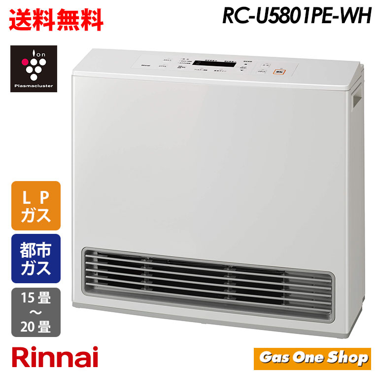 楽天市場】＼1月・2月限定！最大100％ポイントバック！※要エントリー