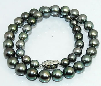 楽天市場】南洋黒蝶真珠 タヒチパール 8〜10.9mm ピーコックグリーン