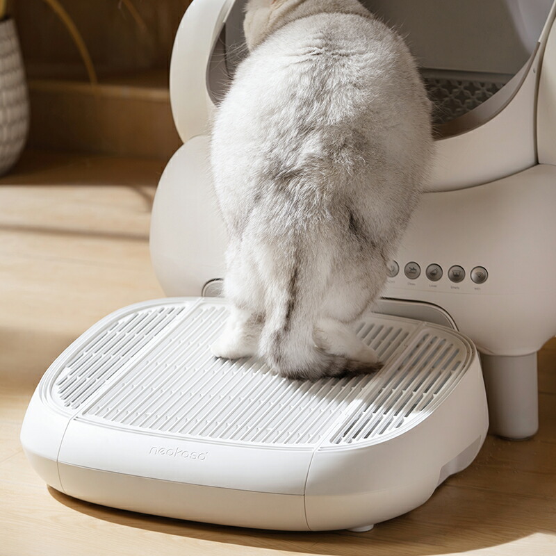 楽天市場】2000円オフクーポン 当日発送 Neakasa M1 猫砂飛散防止 猫砂