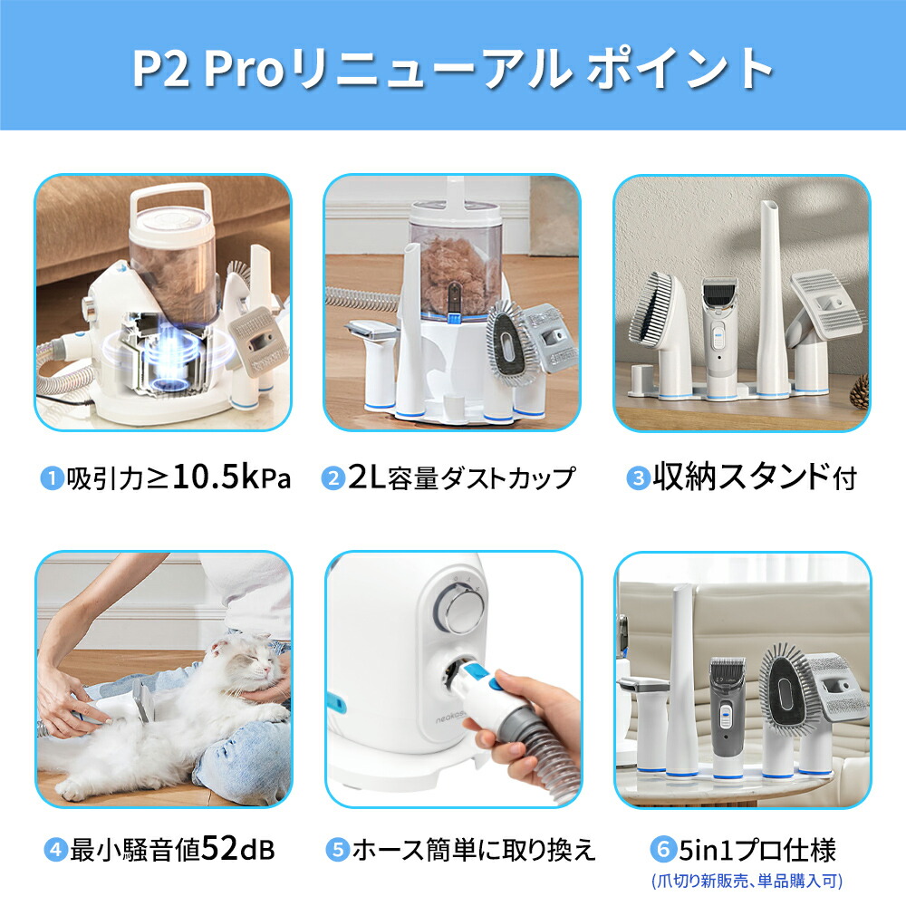 楽天市場】全店対象3000円OFFクーポン配布中 当日発送 2L大容量