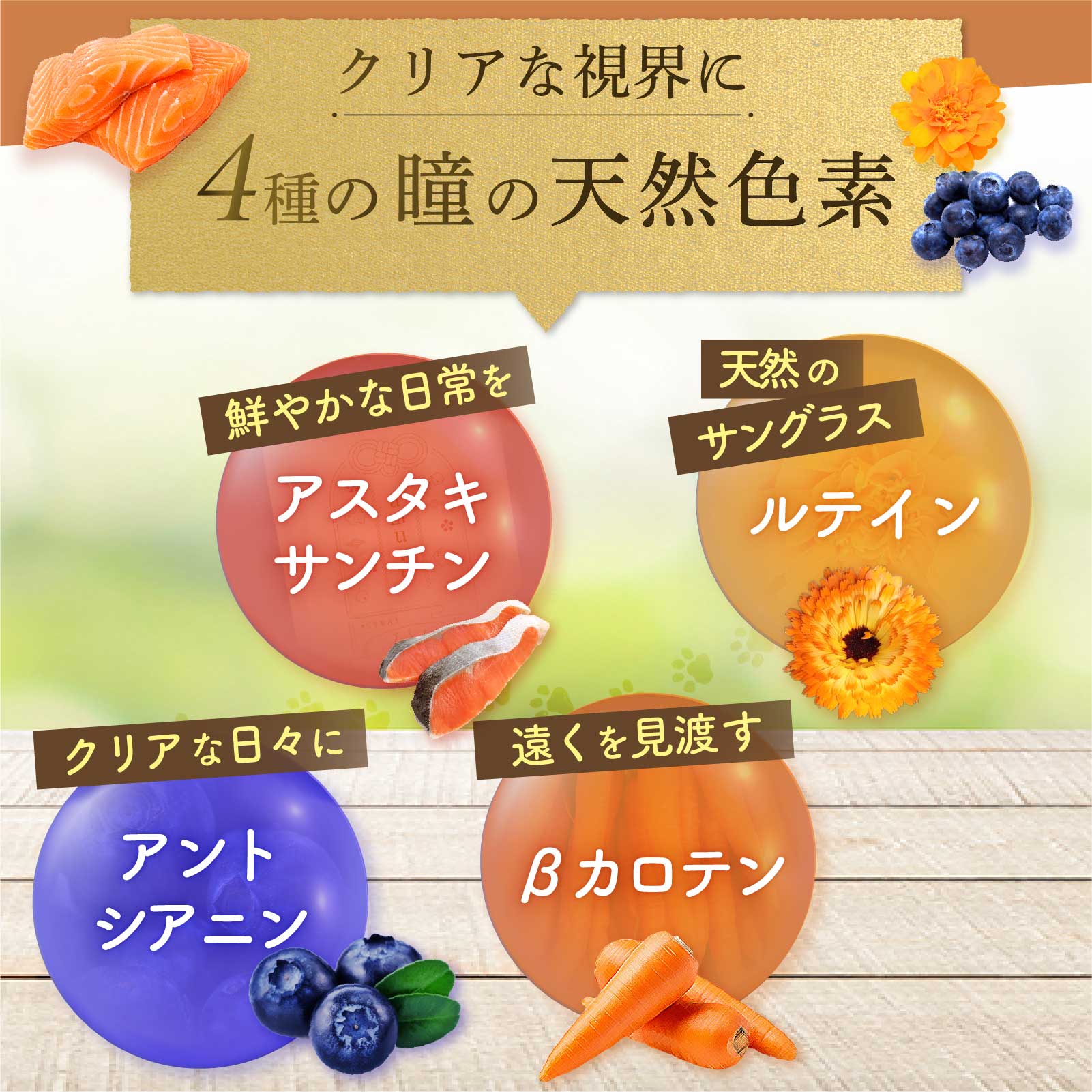 楽天市場】【エントリーでポイント10倍】 amure-アミュレ- 犬用