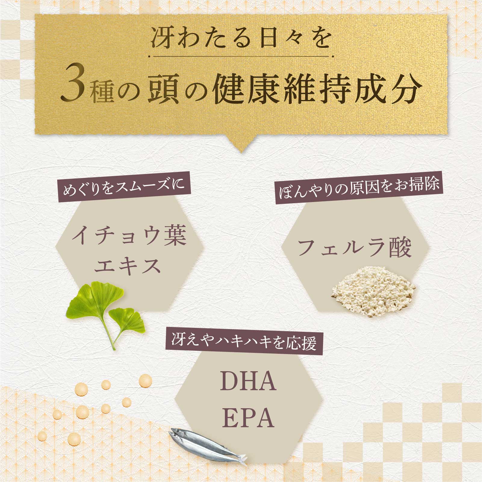 楽天市場】【エントリーでポイント10倍】 amure-アミュレ- 犬用