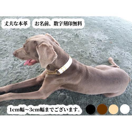 楽天市場】ハーフチョーク首輪 大型犬 超大型犬用 高級サドルレザー3cm