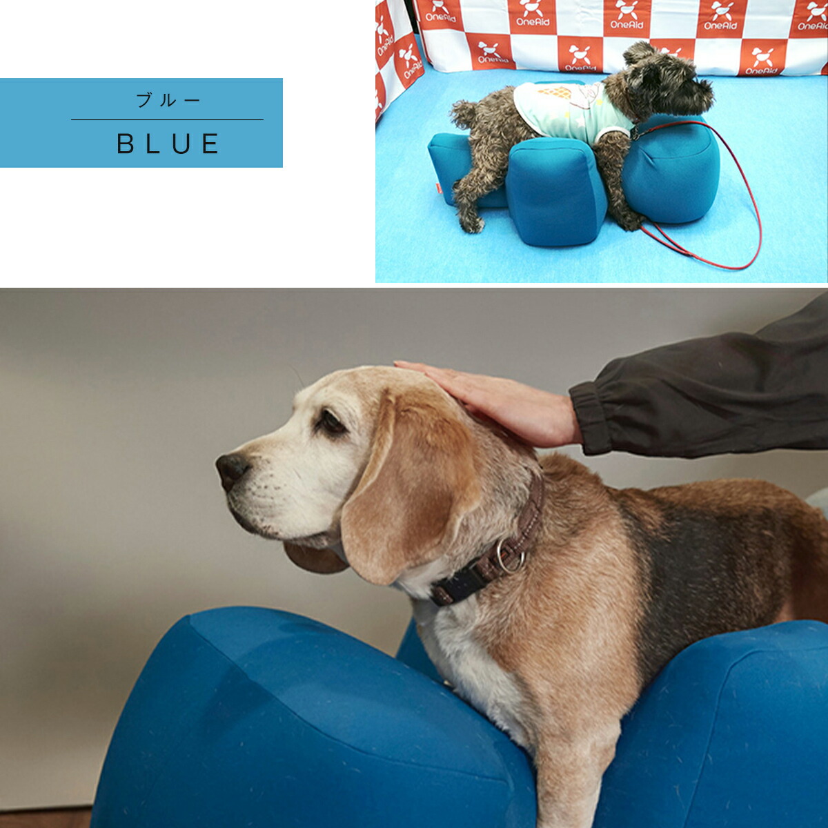 楽天市場】OneAid リラクッション M 中型犬用 犬用介護用品 アロン化成