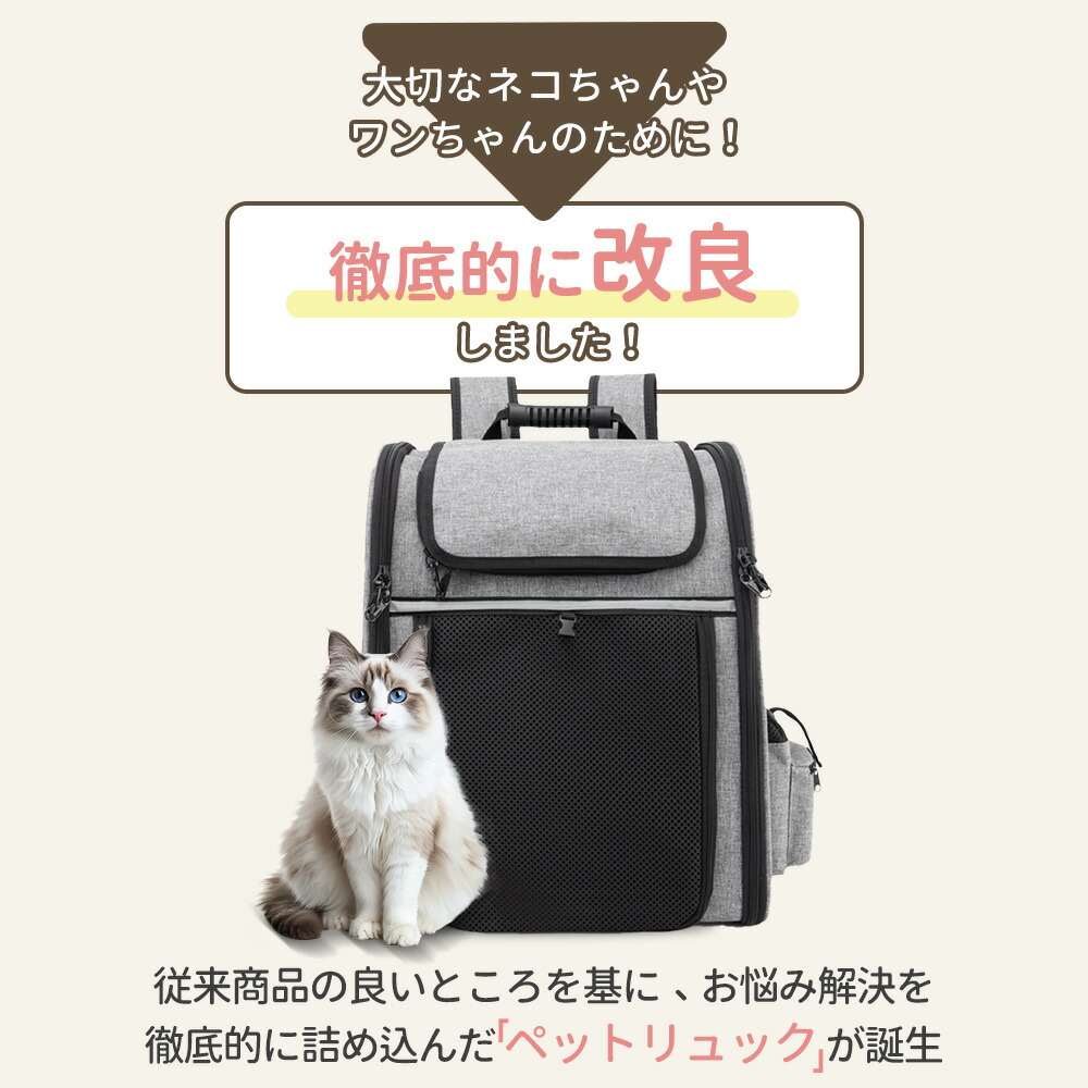 楽天市場】「マラソン限定500円OFFクーポン付き!」【楽天1位連冠