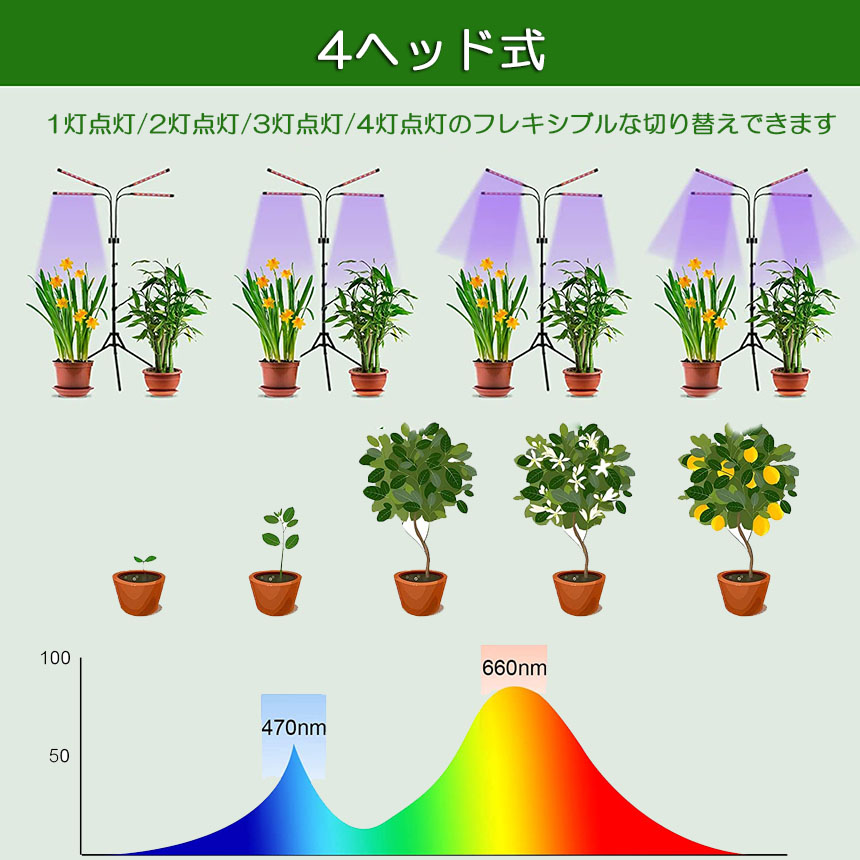 おまめ あけぼの4枚セットGREENSINDOOR LED植物育成ライト Amazon.co