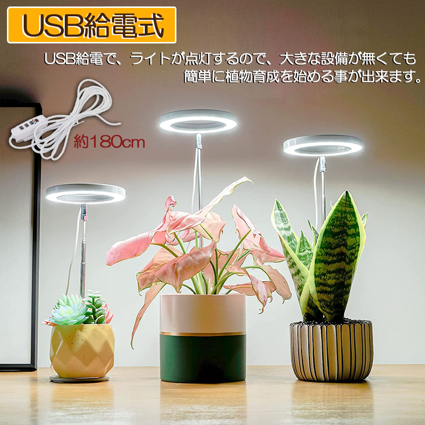 楽天市場】LED植物育成ライト 植物育成ライト 鉢植えに差し込む 2点