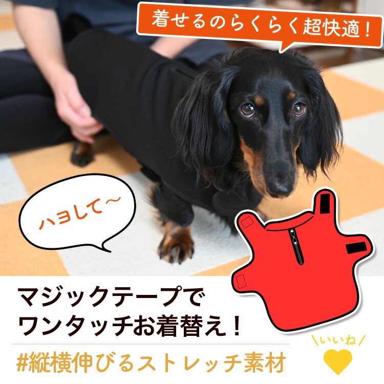 楽天市場】ダックスフンド ダックス 服 犬服 レインコート ドッグ