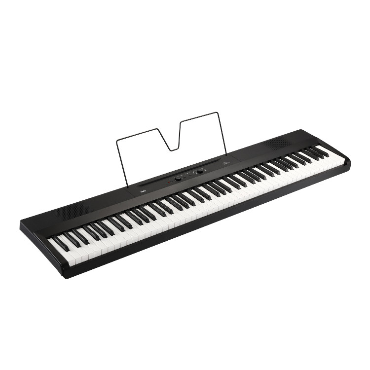 楽天市場】KORG 電子ピアノ L1SP Liano DIGITAL PIANO 88鍵 ブラック