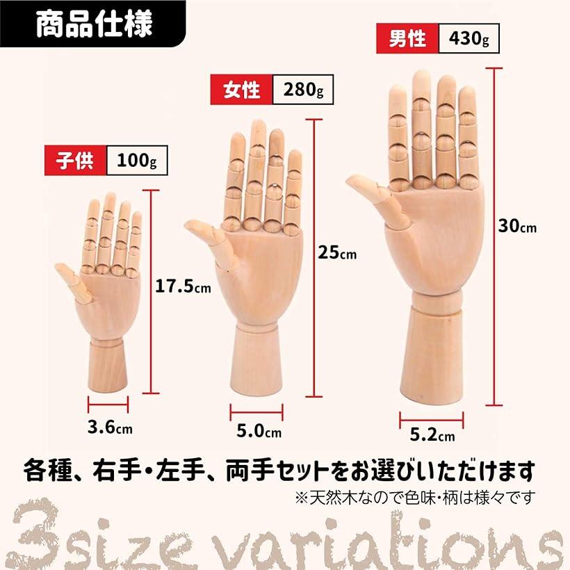 楽天市場】デッサン人形 手 マネキン 木製 ハンドモデル ディスプレイ