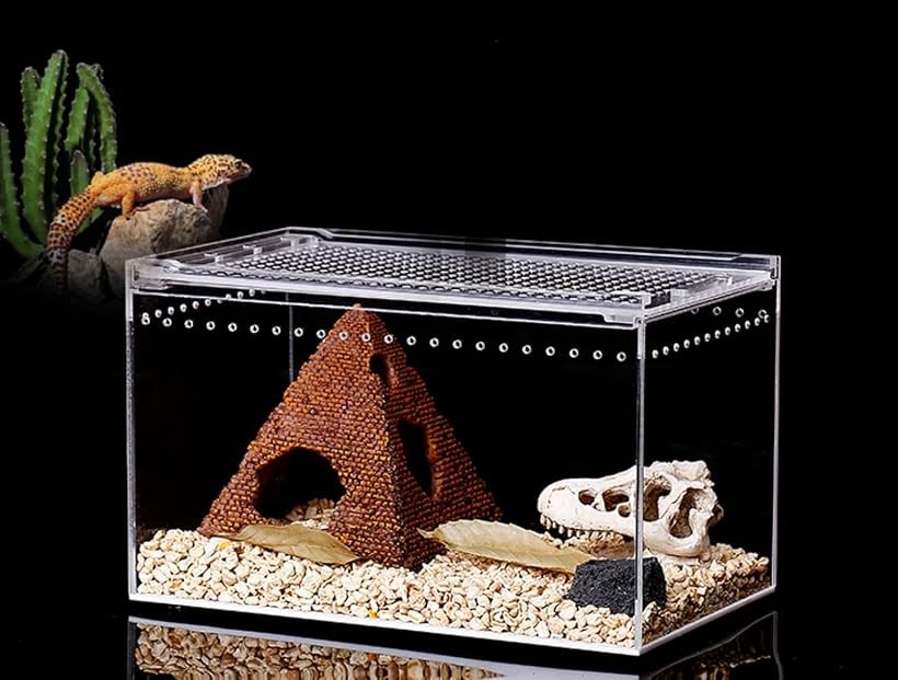 COZENTA 爬虫類 ケージ シェルター アクリル製 トカゲ 蛇 サソリ 飼育