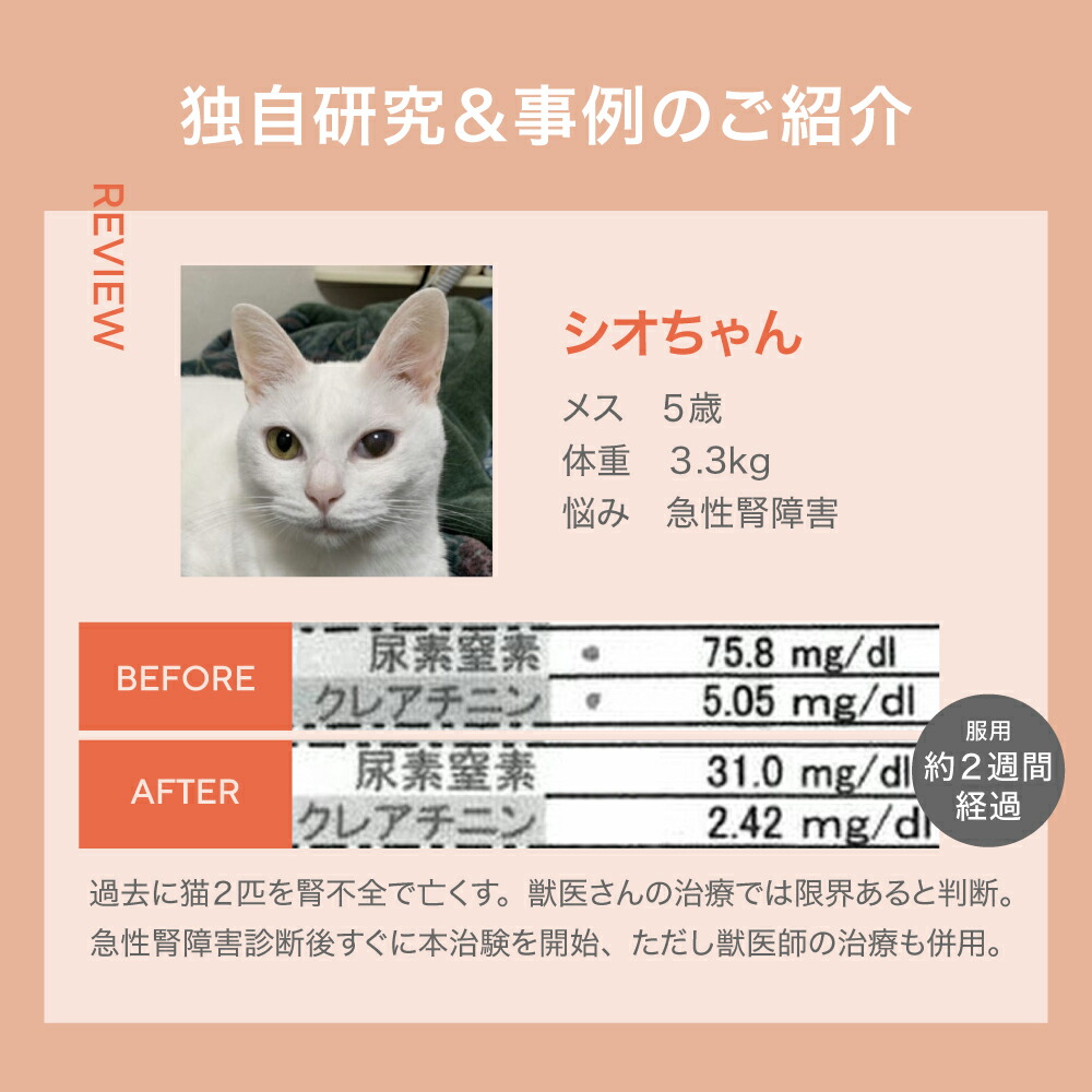 JINパワー100 犬猫用サプリメント 9g 楽天市場】5歳からのケア 『JIN