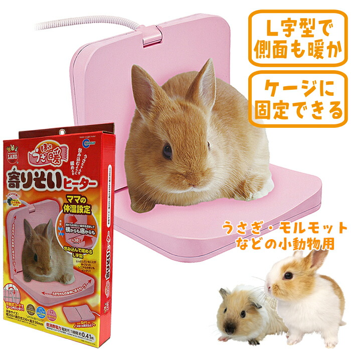 楽天市場】シャイニー45 : 小動物専門店ヘヴン