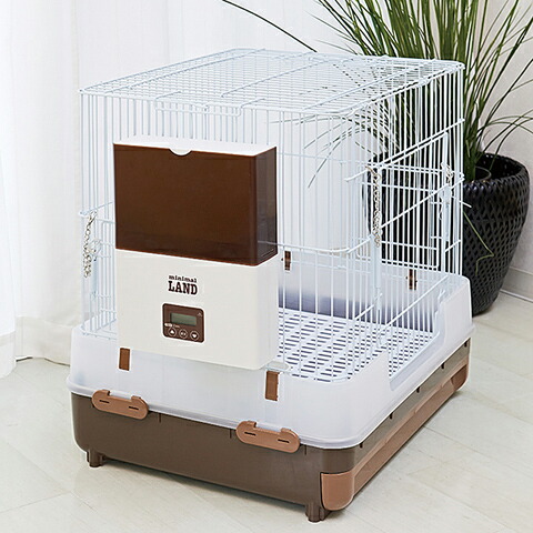 うさぎ 自動給餌器 オートフィーダー フェレット 【公式通販】