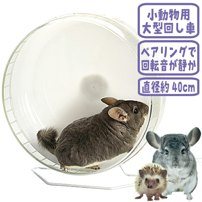 楽天市場】サイレントホイール フラット40 : 小動物専門店ヘヴン