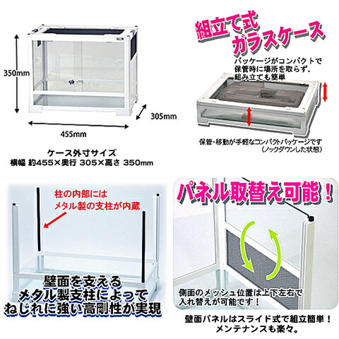 楽天市場】パンテオン ホワイト WH4535【一度のご注文で2個まで