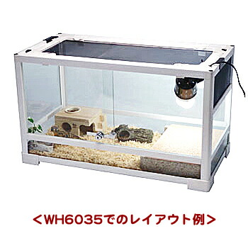 Free LIFE様 パンテオン4535 2台セット Free LIFE様 パンテオン4535 2