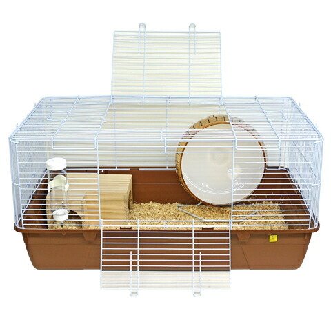 ハリネズミ飼育セット