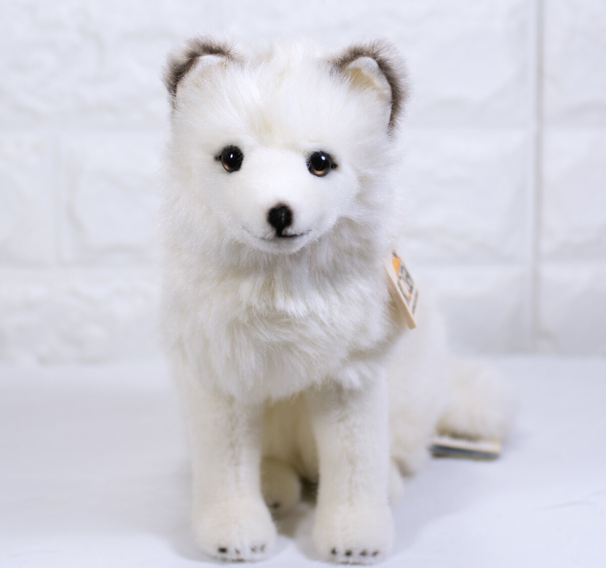 楽天市場】ケーセン ぬいぐるみ Kosen ホッキョクギツネ（お座り