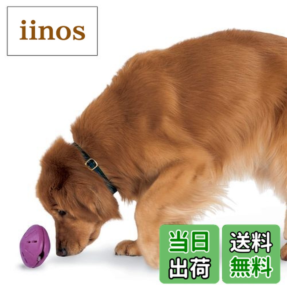 楽天市場】ビジーバディ lの通販