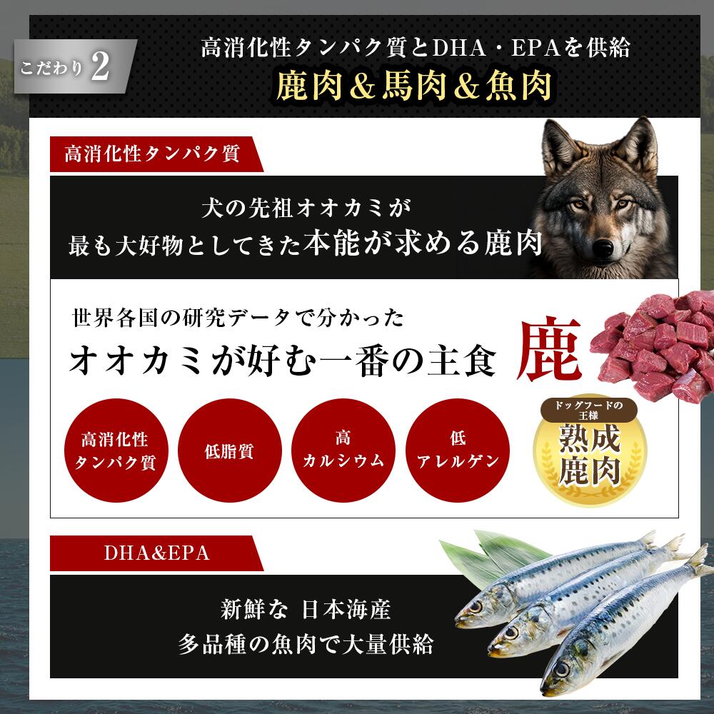 楽天市場】【腎臓】和漢みらいのドッグフード 特別療法食（1kg×1袋）＋