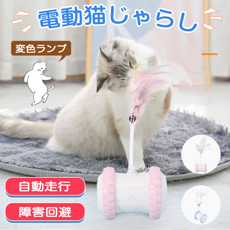 楽天市場】猫 おもちゃ 一人遊び 電動 自動 ネコ おもちゃ ねこ