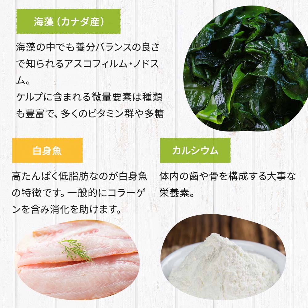 楽天市場】ドッグスタンス 鹿肉ドッグフード 鹿肉 麹熟成 800g×3袋