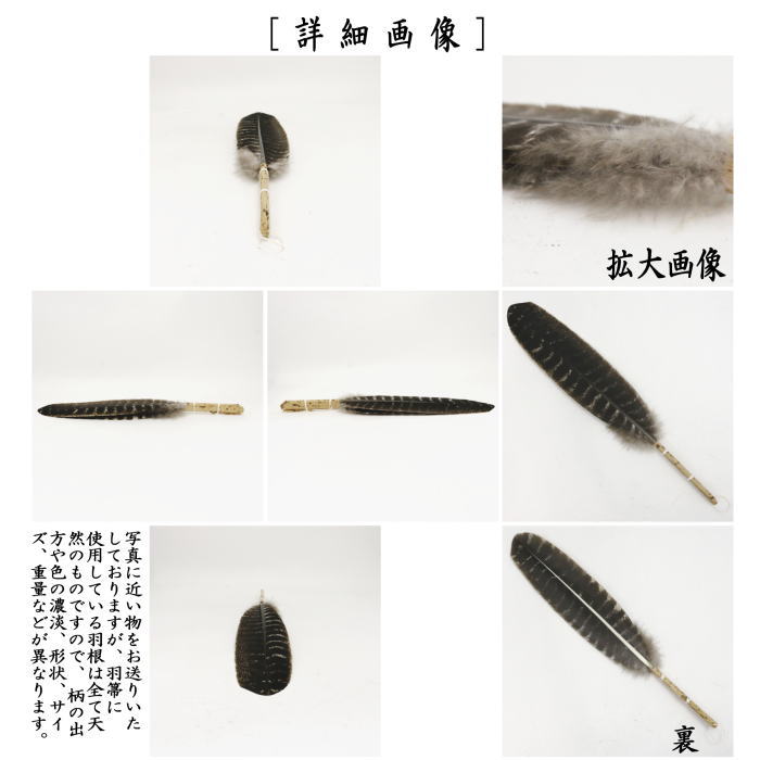 楽天市場】【茶器/茶道具 炭道具】 羽箒 唐国鳥 風炉用 : いまや茶の湯