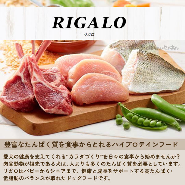 楽天市場】リガロ ハイプロテインレシピ 子犬 成犬用 フィッシュ 12kg