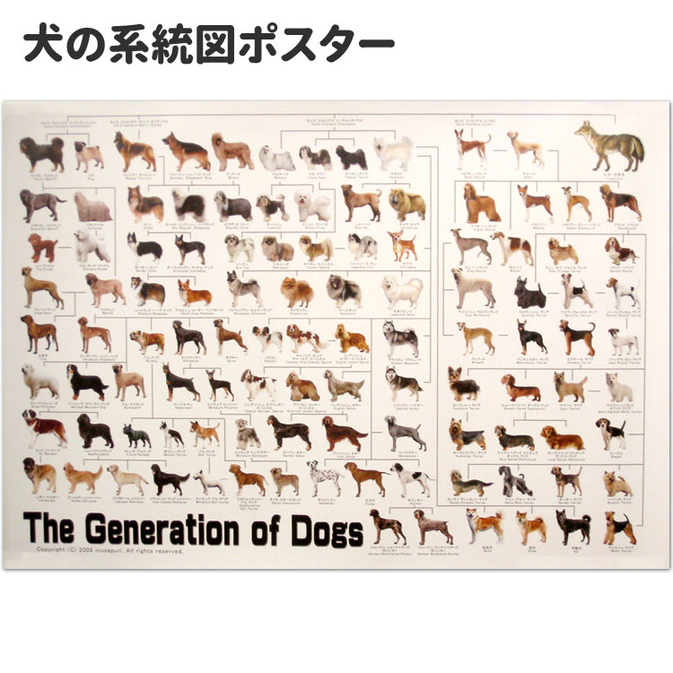 ポスター 犬の系統図 The Dog Generation B1サイズ