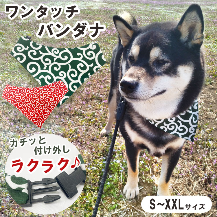 楽天市場】【ワンタッチ バンダナ 唐草】 犬 猫 模様 緑 赤 グリーン