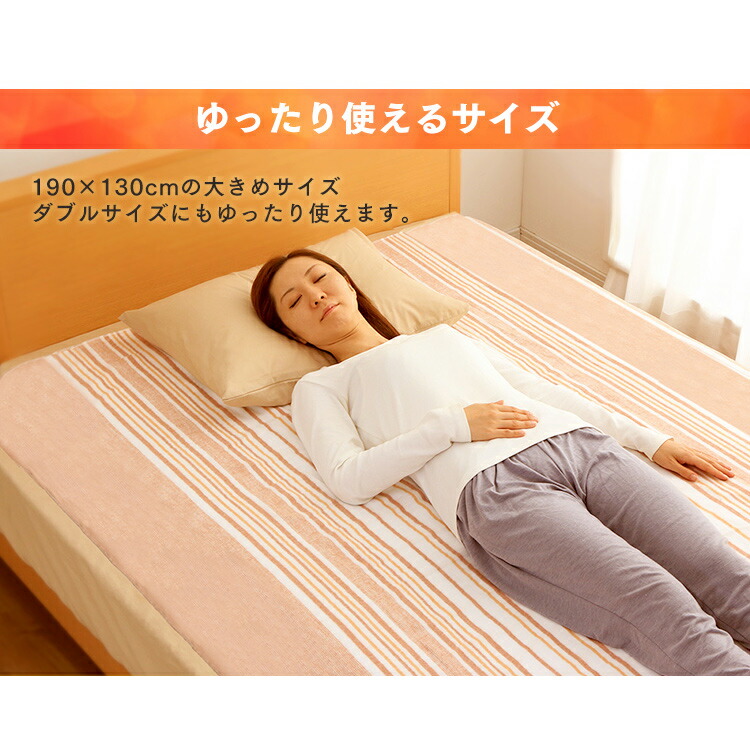 NT-SP60S 電気毛布 60W ポリエステル100%2枚 NT-SP60S 電気毛布 60W