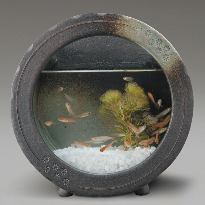 楽天市場】黒釉丸水槽信楽焼 金魚鉢 黒釉丸水槽水槽 陶器 置物 めだか