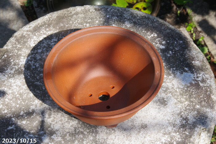 010.【寿悦】朱泥鼡俵鉢/盆栽鉢/木箱付き 010.【寿悦】朱泥鼡俵鉢/盆栽