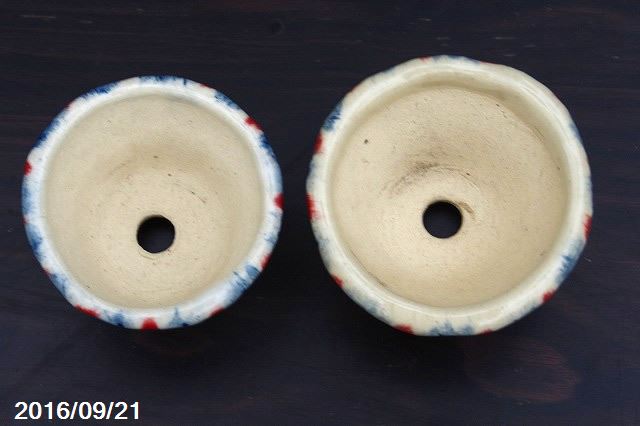 楽天市場】植木鉢 横田秀邦作 ミニ盆栽鉢(直径5cm)【山野草鉢 多肉植物