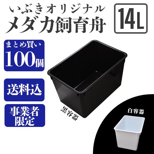 トロファスト＋ダイソー メダカ水槽用容器31個セット 中古品