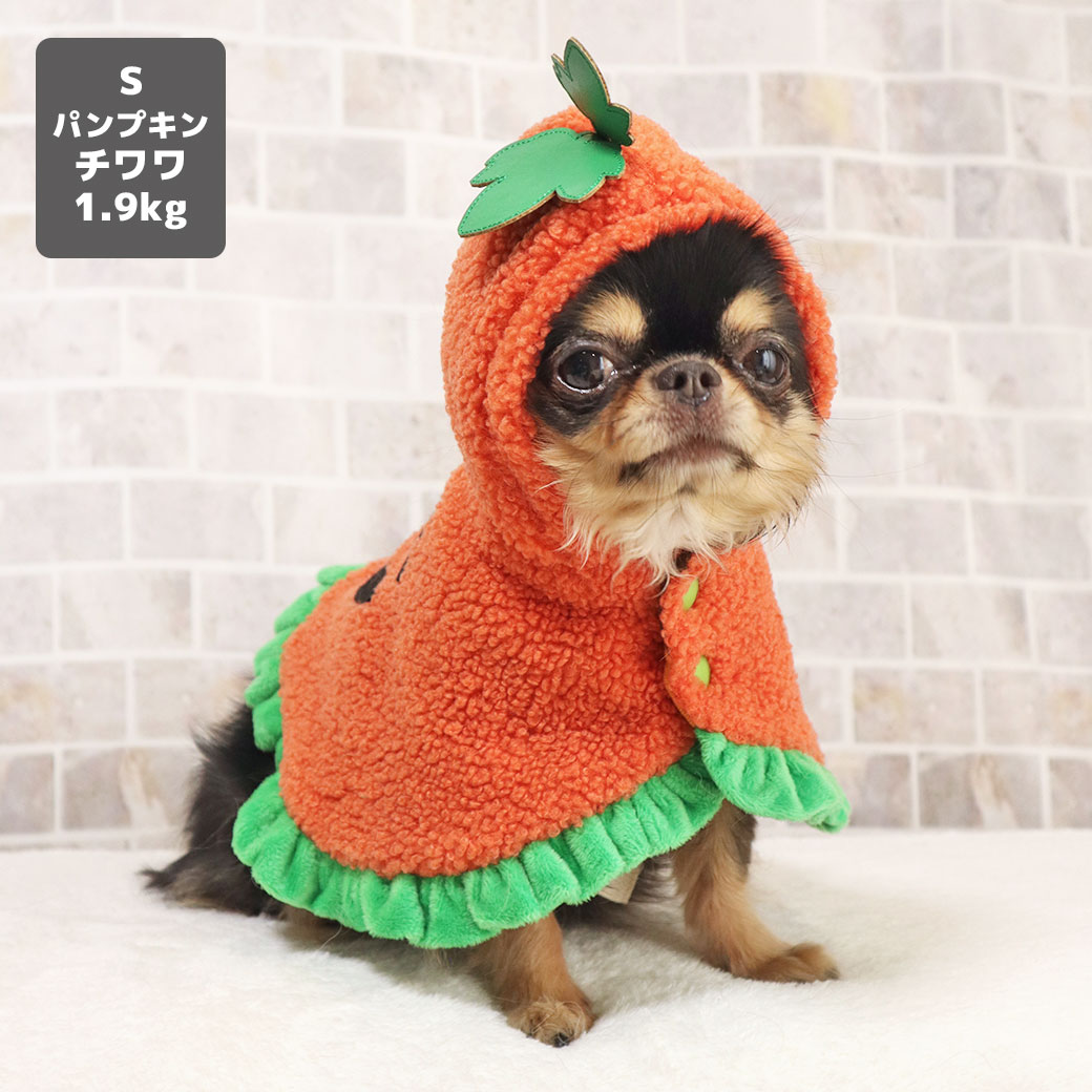 楽天市場】【 猫 服 ハロウィン 】iDog ハロウィンケープ アイドッグ