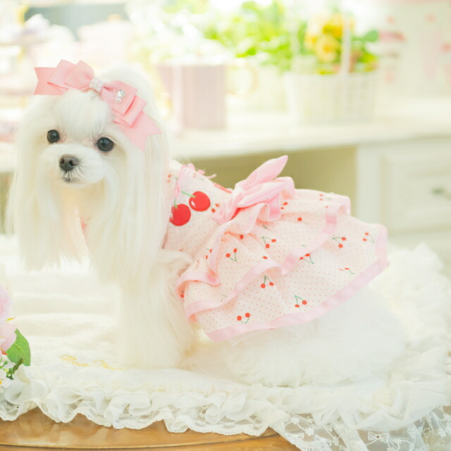 犬服 春 さくらんぼフレアワンピース SS-Lサイズ きゃんナナ 小型犬