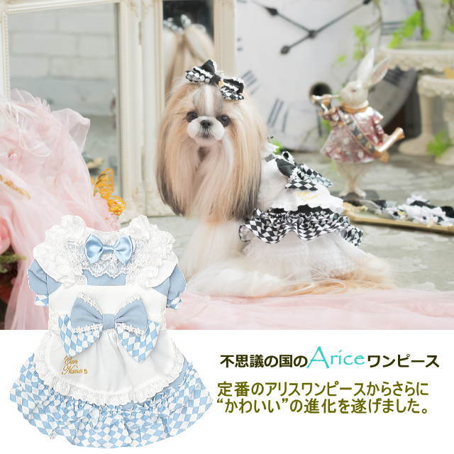 楽天市場】ハロウィン halloween コスプレ 犬服 きゃんナナ ドレス