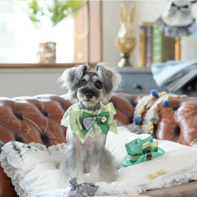 犬服・アクセサリー green 楽天市場】グリーン（ドッグウェア｜犬用品