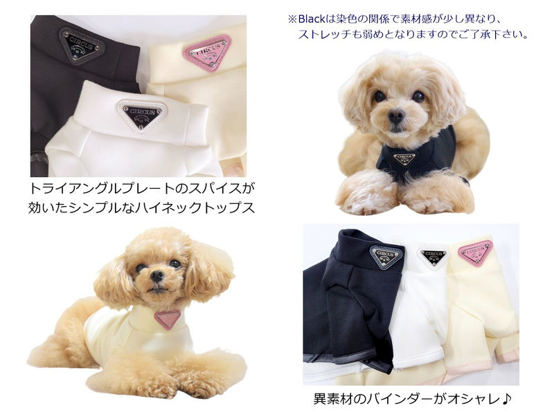 楽天市場】3営業日以内発送☆[サイズ:White/L]Chic T circus circus