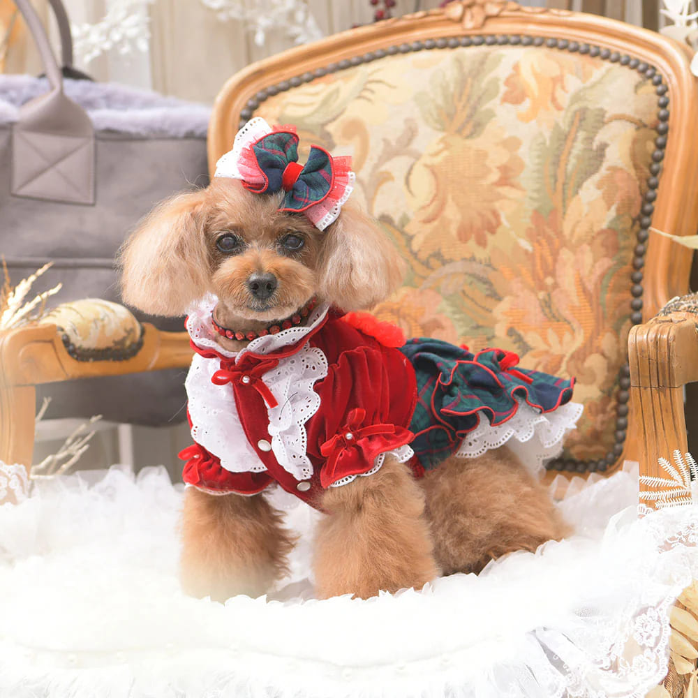 楽天市場】[サイズ:SS/S/M/L] アイナワンピース LUXEBIRDIE リュクス