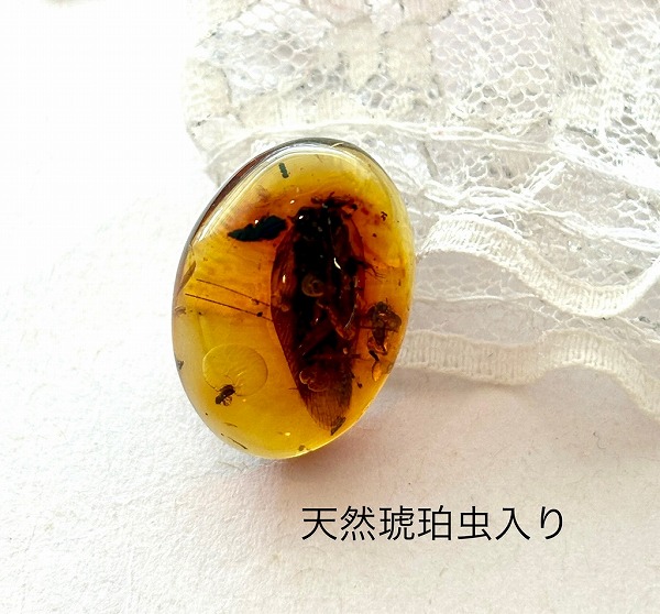 琥珀 虫入り 天然 アンバー 罕石卵 天然石 ムカデ 百足 甲虫