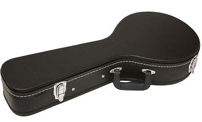 楽天市場】【フラットマンドリン】ARIA AM-20 : 京都 JEUGIA