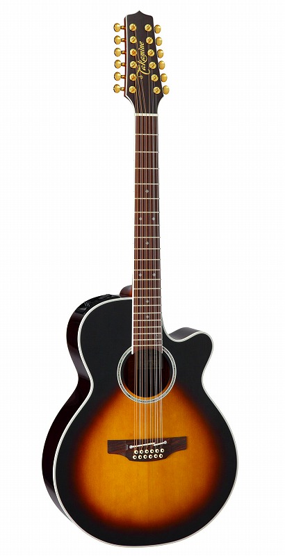 アコースティックギター タカミネ 12弦 エレアコ」の人気商品一覧