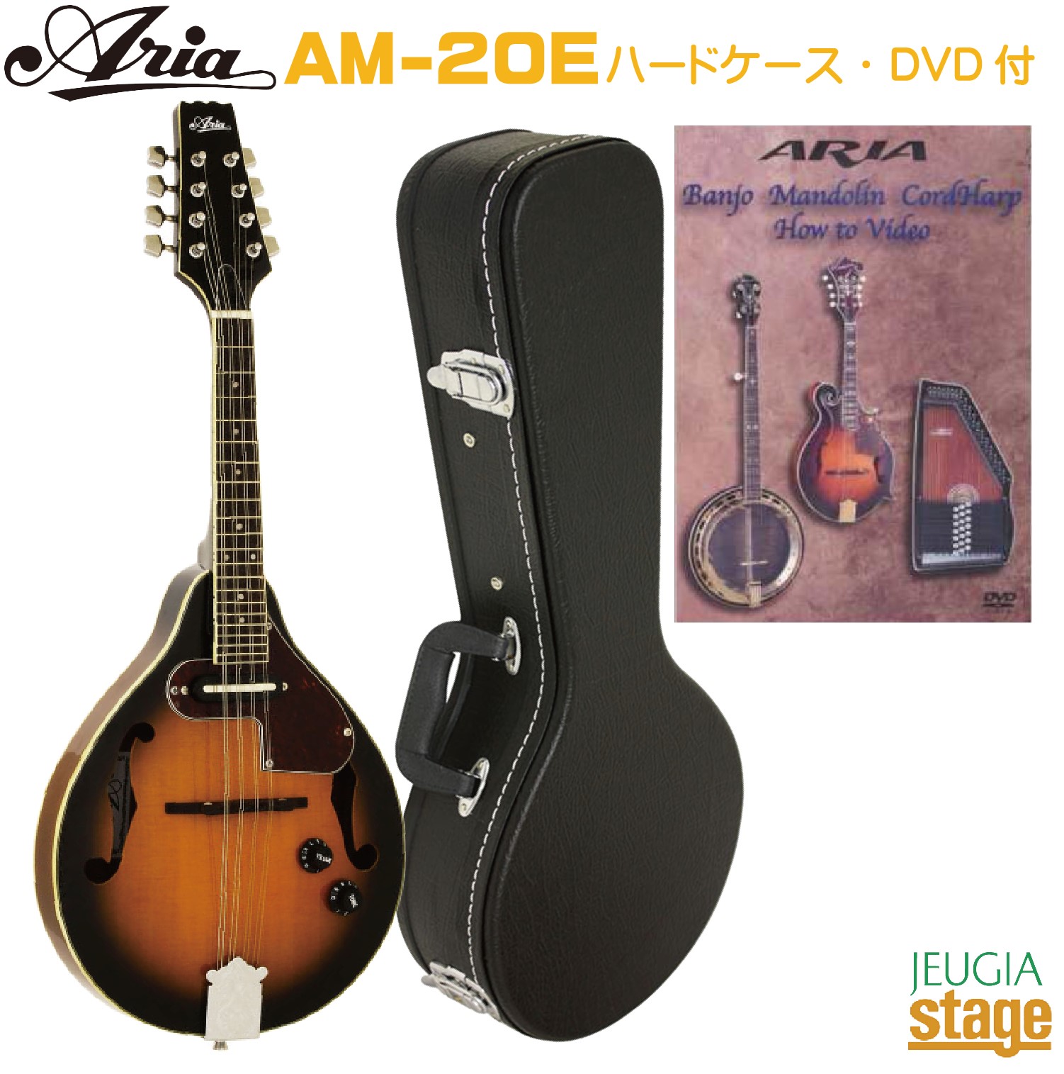 ARIA AM-20E Electric Mandolin【ピックアップ付】【ハードケース・DVD