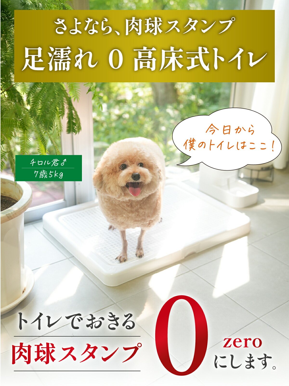 楽天市場】【2個以上で5%OFF】【INULABO(イヌラボ)】 犬 用 トイレ