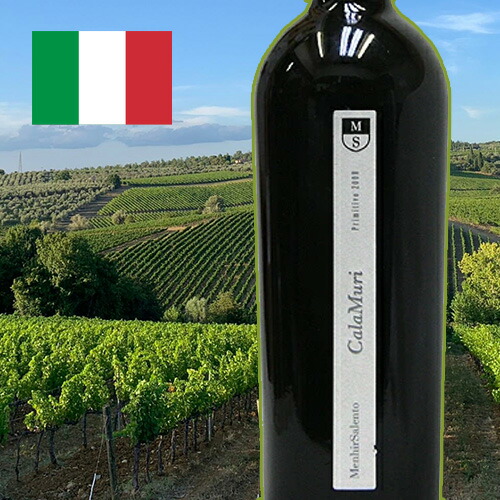 ジャン シャルル リオン クロ ヴージョ 2019 ジャン・シャルル・リオン