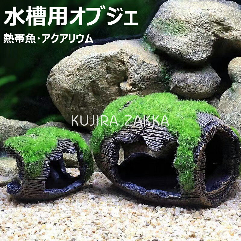 MJW-6812 「特大」ジンジャーウッド 90cm水槽用 天然流木3本セット