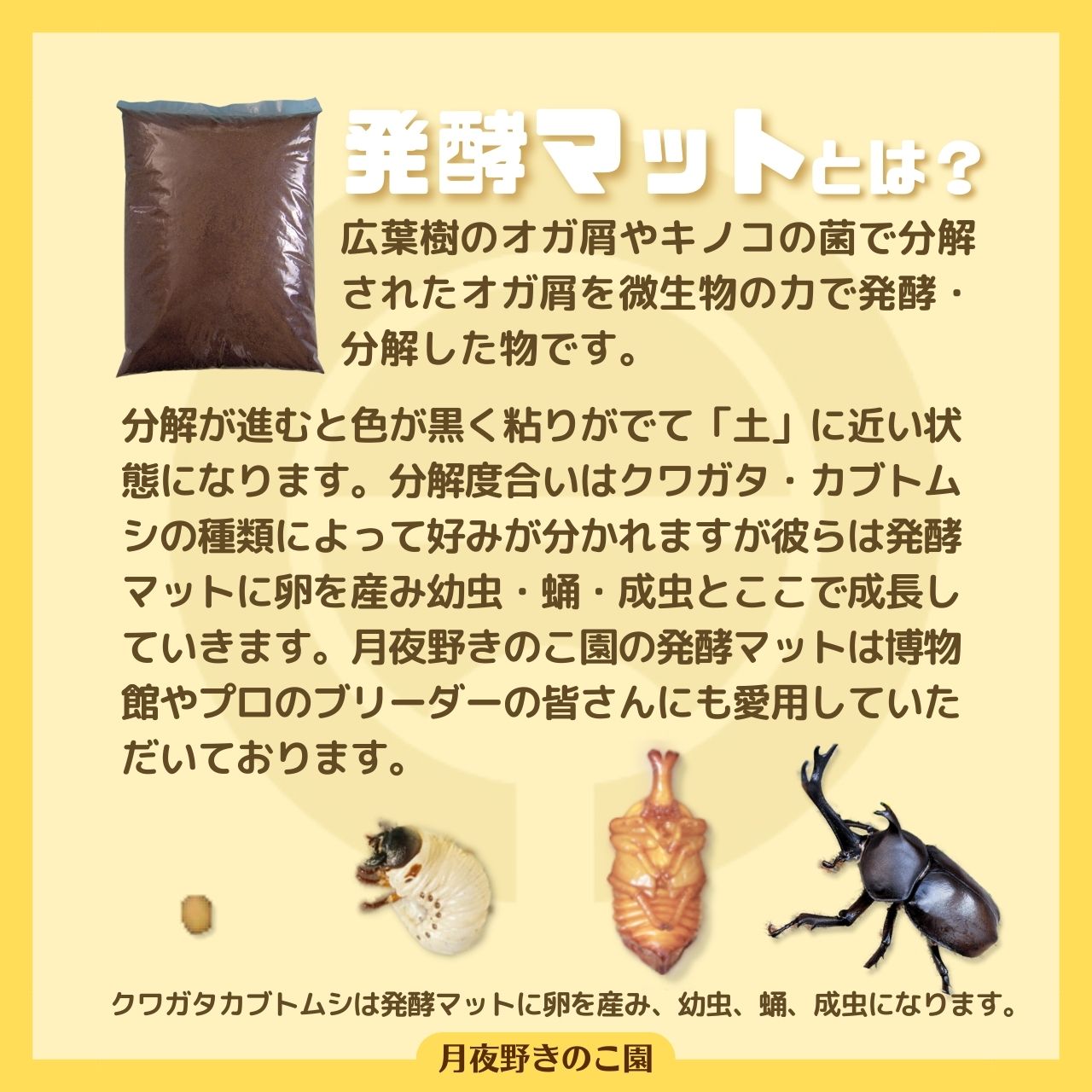 楽天市場】【完熟Mat10L】カブトムシの産卵・幼虫飼育幼虫の餌（えさ